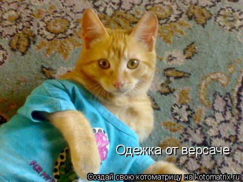Одежка от версаче... Котоматрица: Одежка от версаче