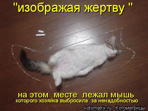 "изображая жертву " на этом месте лежал мышь которого хозяйка выбросила за ненадобностью... Котоматрица: "изображая жертву " на этом месте лежал мышь которого хозяйка выбросила за ненадобностью