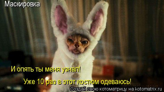 Маскировка И опять ты меня узнал! Уже 10 раз в этот костюм одеваюсь!... Котоматрица: Маскировка И опять ты меня узнал! Уже 10 раз в этот костюм одеваюсь!