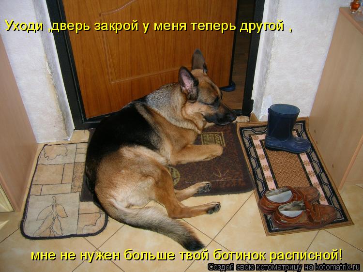 Уходи ,дверь закрой у меня теперь другой , мне не нужен больше твой ботинок расписной!... Котоматрица: Уходи ,дверь закрой у меня теперь другой , мне не нужен больше твой ботинок расписной!