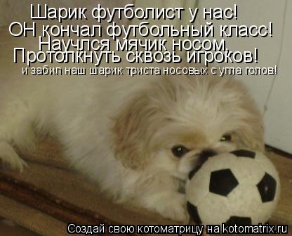 Шарик футболист у нас! ОН кончал футбольный класс! Научлся мячик носом, Протолкнуть сквозь игроков! и... Котоматрица: Шарик футболист у нас! ОН кончал футбольный класс! Научлся мячик носом, Протолкнуть сквозь игроков! и забил наш шарик триста носовых с угла