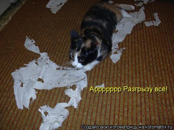 Аррррррр Разгрызу всё!... Котоматрица: Аррррррр Разгрызу всё!