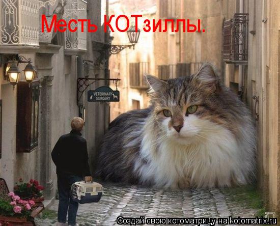 Месть КОТзиллы.... Котоматрица: Месть КОТзиллы.