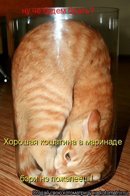 ну чё будем брать? Хорошая кошатина в маринаде бэри нэ пожэлееш !... Котоматрица: ну чё будем брать? Хорошая кошатина в маринаде бэри нэ пожэлееш !
