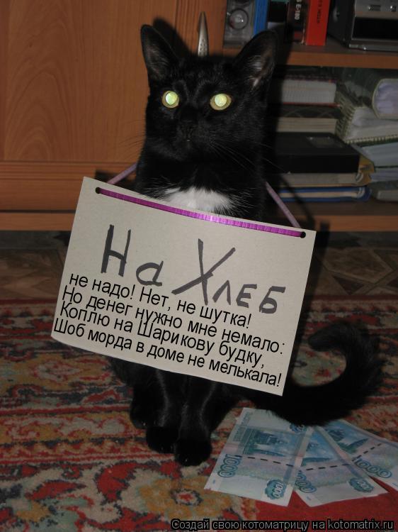 не надо! Нет, не шутка! Но денег нужно мне немало: Коплю на Шарикову будку, Шоб морда в доме не мель... Котоматрица: не надо! Нет, не шутка! Но денег нужно мне немало: Коплю на Шарикову будку, Шоб морда в доме не мелькала!