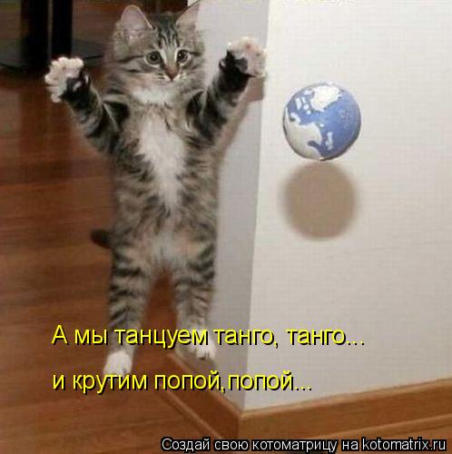 А мы танцуем танго, танго... и крутим попой,попой...... Котоматрица: А мы танцуем танго, танго... и крутим попой,попой...