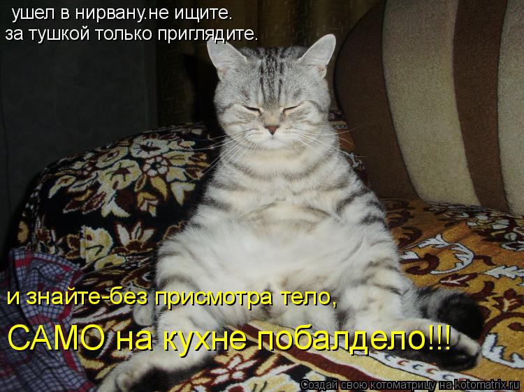 ушел в нирвану.не ищите. за тушкой только приглядите. и знайте-без присмотра тело, САМО на кухне поба... Котоматрица: ушел в нирвану.не ищите. за тушкой только приглядите. и знайте-без присмотра тело, САМО на кухне побалдело!!!