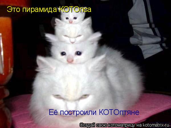 Это пирамида КОТОпса Её построили КОТОптяне... Котоматрица: Это пирамида КОТОпса Её построили КОТОптяне