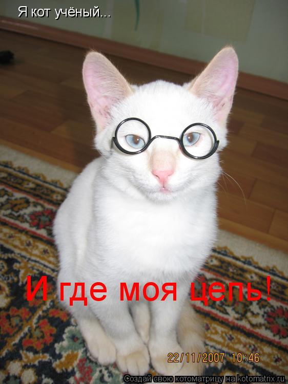 Я кот учёный... И где моя цепь!... Котоматрица: Я кот учёный... И где моя цепь!
