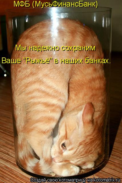 Ваше "Рыжьё" в наших банках. Мы надежно сохраним МФБ (МусьФинансБанк)... Котоматрица: Ваше "Рыжьё" в наших банках. Мы надежно сохраним МФБ (МусьФинансБанк)