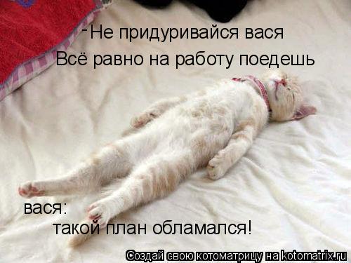 Не придуривайся вася Всё равно на работу поедешь - вася: такой план обламался!... Котоматрица: Не придуривайся вася Всё равно на работу поедешь - вася: такой план обламался!