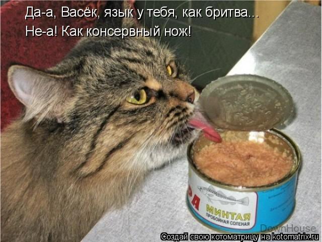 Да-а, Васёк, язык у тебя, как бритва... Не-а! Как консервный нож!... Котоматрица: Да-а, Васёк, язык у тебя, как бритва... Не-а! Как консервный нож!
