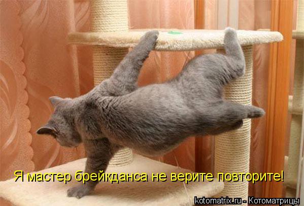 Я мастер брейкданса не верите повторите!... Котоматрица: Я мастер брейкданса не верите повторите!