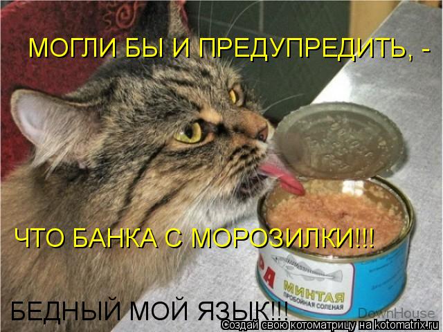 МОГЛИ БЫ И ПРЕДУПРЕДИТЬ, - ЧТО БАНКА С МОРОЗИЛКИ!!! БЕДНЫЙ МОЙ ЯЗЫК!!!... Котоматрица: МОГЛИ БЫ И ПРЕДУПРЕДИТЬ, - ЧТО БАНКА С МОРОЗИЛКИ!!! БЕДНЫЙ МОЙ ЯЗЫК!!!