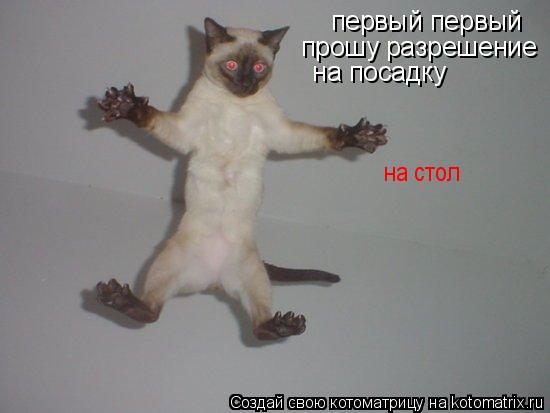 первый первый прошу разрешение на посадку на стол... Котоматрица: первый первый прошу разрешение на посадку на стол