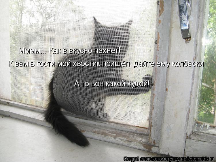 Мммм... Как в вкусно пахнет! К вам в гости мой хвостик пришёл, дайте ему колбаски А то вон какой худо... Котоматрица: Мммм... Как в вкусно пахнет! К вам в гости мой хвостик пришёл, дайте ему колбаски А то вон какой худой!