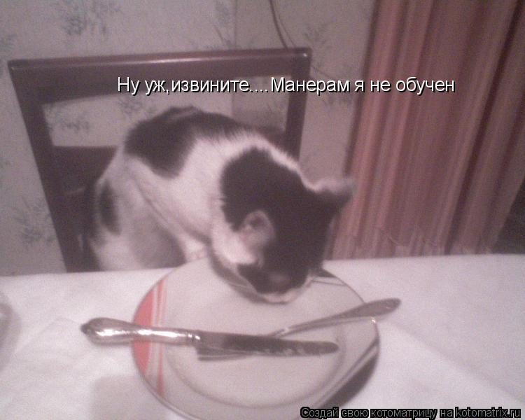 Ну уж,извините....Манерам я не обучен... Котоматрица: Ну уж,извините....Манерам я не обучен