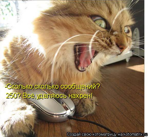 -Сколько,сколько сообщений? 250? Всё,удаляюсь нахрен!... Котоматрица: -Сколько,сколько сообщений? 250? Всё,удаляюсь нахрен!