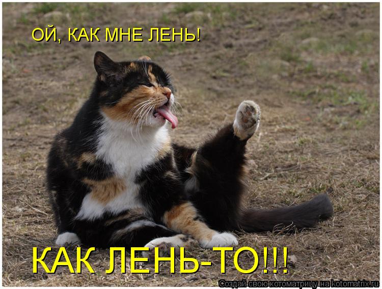 ОЙ, КАК МНЕ ЛЕНЬ! КАК ЛЕНЬ-ТО!!!... Котоматрица: ОЙ, КАК МНЕ ЛЕНЬ! КАК ЛЕНЬ-ТО!!!
