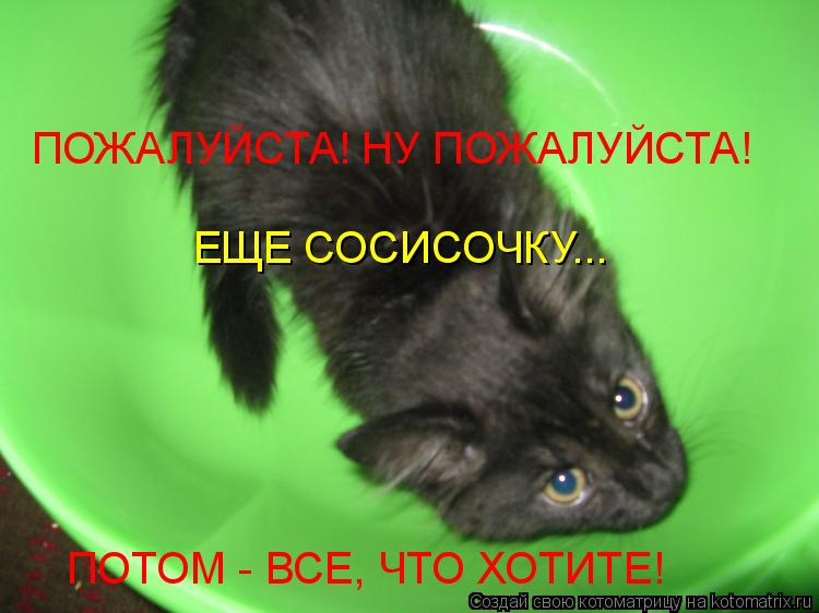 ПОЖАЛУЙСТА! НУ ПОЖАЛУЙСТА! ЕЩЕ СОСИСОЧКУ... ПОТОМ - ВСЕ, ЧТО ХОТИТЕ!... Котоматрица: ПОЖАЛУЙСТА! НУ ПОЖАЛУЙСТА! ЕЩЕ СОСИСОЧКУ... ПОТОМ - ВСЕ, ЧТО ХОТИТЕ!