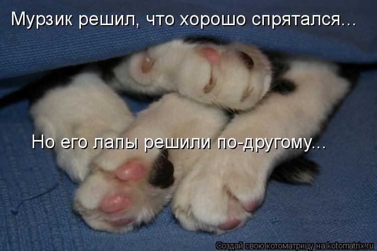 Мурзик решил, что хорошо спрятался... Но его лапы решили по-другому...... Котоматрица: Мурзик решил, что хорошо спрятался... Но его лапы решили по-другому...