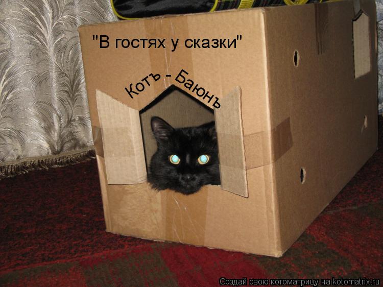 Котъ Баюнъ - "В гостях у сказки"... Котоматрица: Котъ Баюнъ - "В гостях у сказки"