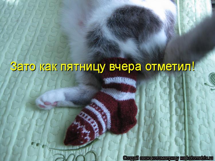 Зато как пятницу вчера отметил!... Котоматрица: Зато как пятницу вчера отметил!