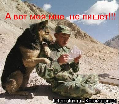 А вот моя мне не пишет!!!... Котоматрица: А вот моя мне не пишет!!!