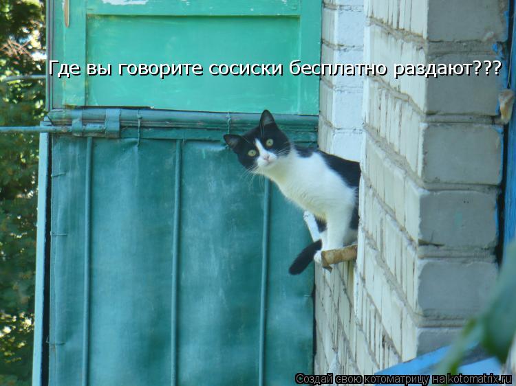 Где вы говорите сосиски бесплатно раздают???... Котоматрица: Где вы говорите сосиски бесплатно раздают???