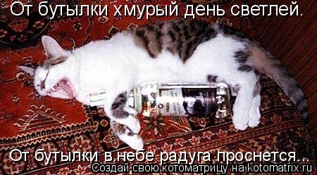 От бутылки хмурый день светлей. От бутылки в небе радуга проснется...... Котоматрица: От бутылки хмурый день светлей. От бутылки в небе радуга проснется...