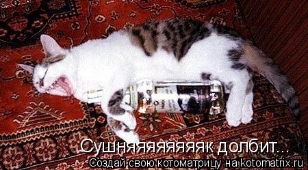 Сушняяяяяяяяк долбит...... Котоматрица: Сушняяяяяяяяк долбит...