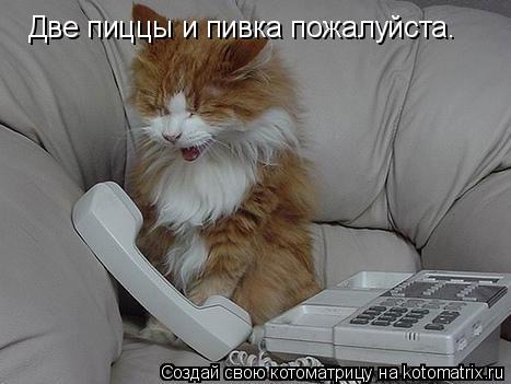 Две пиццы и пивка пожалуйста.... Котоматрица: Две пиццы и пивка пожалуйста.