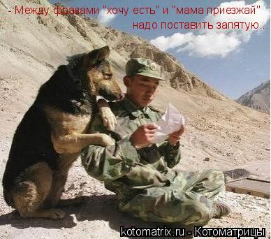 - Между фразами "хочу есть" и "мама приезжай" надо поставить запятую...... Котоматрица: - Между фразами "хочу есть" и "мама приезжай" надо поставить запятую...