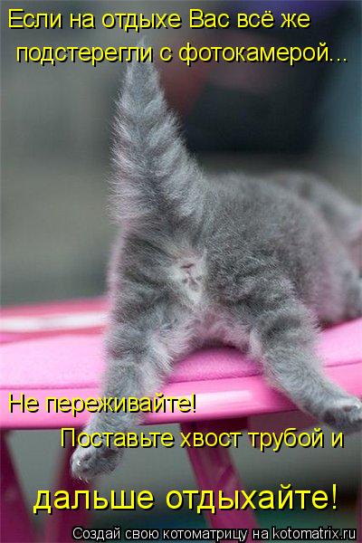 Если на отдыхе Вас всё же подстерегли с фотокамерой... Не переживайте! дальше отдыхайте! Поставьте хв... Котоматрица: Если на отдыхе Вас всё же подстерегли с фотокамерой... Не переживайте! дальше отдыхайте! Поставьте хвост трубой и
