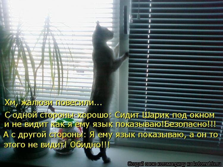 C одной стороны-хорошо: Сидит Шарик под окном и не видит как я ему язык показываю!Безопасно!!! А с др... Котоматрица: C одной стороны-хорошо: Сидит Шарик под окном и не видит как я ему язык показываю!Безопасно!!! А с другой стороны: Я ему язык показываю, а он то