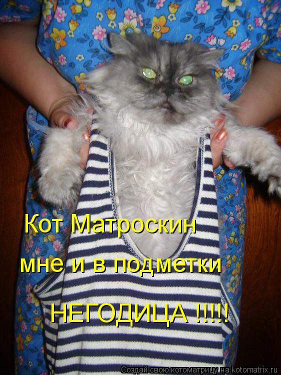 Кот Матроскин мне и в подметки НЕГОДИЦА !!!!!... Котоматрица: Кот Матроскин мне и в подметки НЕГОДИЦА !!!!!