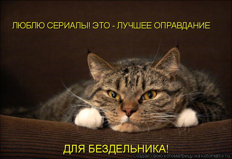 ЛЮБЛЮ СЕРИАЛЫ! ЭТО - ЛУЧШЕЕ ОПРАВДАНИЕ ДЛЯ БЕЗДЕЛЬНИКА!... Котоматрица: ЛЮБЛЮ СЕРИАЛЫ! ЭТО - ЛУЧШЕЕ ОПРАВДАНИЕ ДЛЯ БЕЗДЕЛЬНИКА!