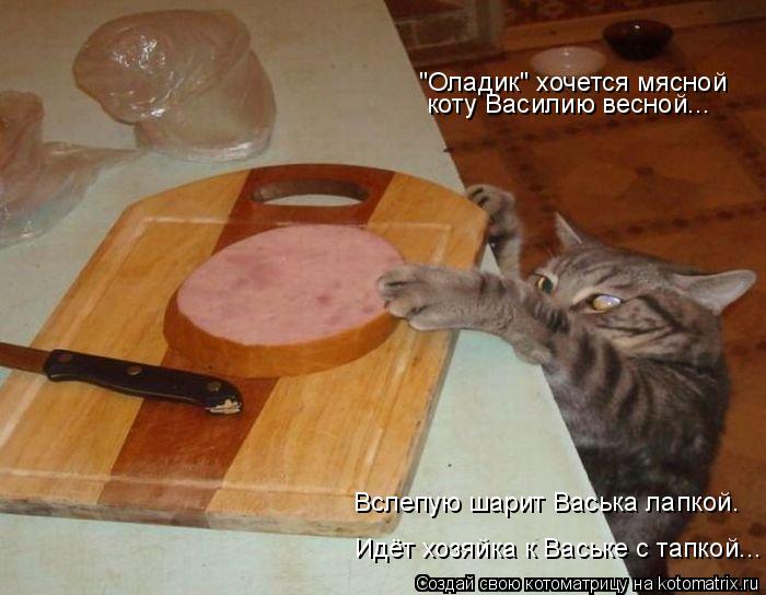 "Оладик" хочется мясной коту Василию весной... Идёт хозяйка к Ваське с тапкой... Вслепую шарит Васька... Котоматрица: "Оладик" хочется мясной коту Василию весной... Идёт хозяйка к Ваське с тапкой... Вслепую шарит Васька лапкой.