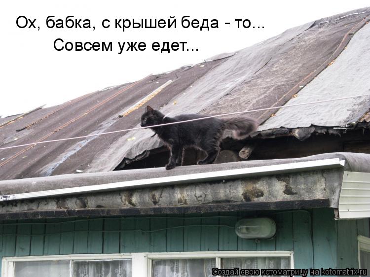Ох, бабка, с крышей беда - то... Совсем уже едет...... Котоматрица: Ох, бабка, с крышей беда - то... Совсем уже едет...