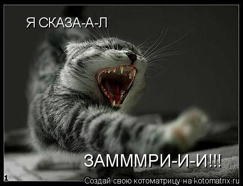 Я СКАЗА-А-Л ЗАМММРИ-И-И!!!... Котоматрица: Я СКАЗА-А-Л ЗАМММРИ-И-И!!!