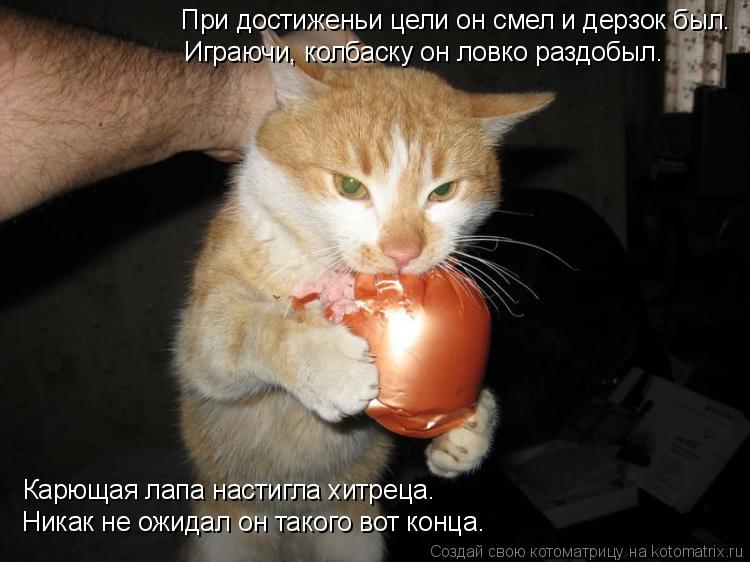 Карющая лапа настигла хитреца. Никак не ожидал он такого вот конца. При достиженьи цели он смел и дер... Котоматрица: Карющая лапа настигла хитреца. Никак не ожидал он такого вот конца. При достиженьи цели он смел и дерзок был. Играючи, колбаску он ловко разд