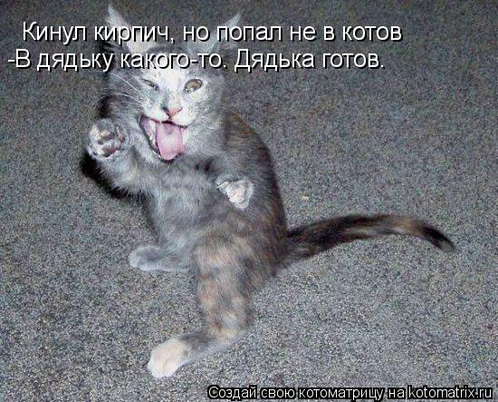 Кинул кирпич, но попал не в котов -В дядьку какого-то. Дядька готов.... Котоматрица: Кинул кирпич, но попал не в котов -В дядьку какого-то. Дядька готов.
