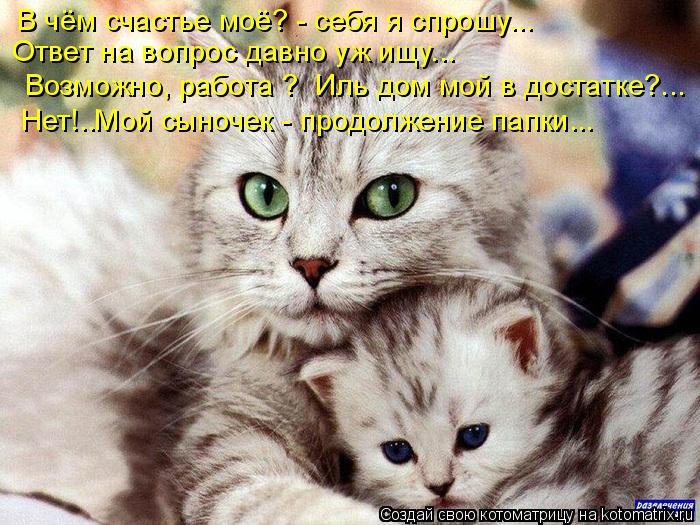 Котоматрица: В чём счастье моё? - себя я спрошу... Ответ на вопрос давно уж ищу... Возможно, работа ?  Иль дом мой в достатке?... Нет!..Мой сыночек - продолжение п