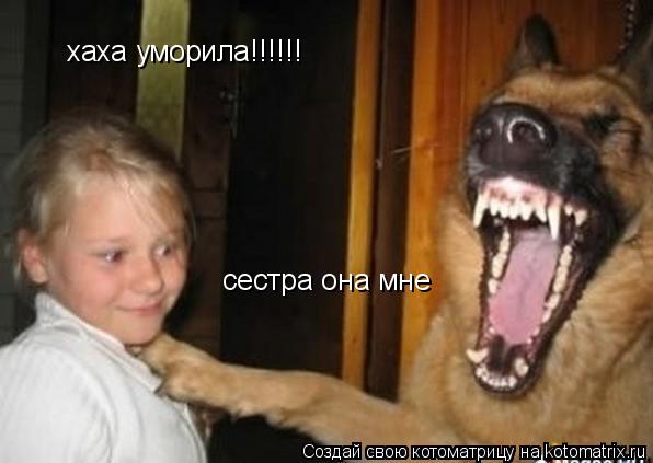 хаха уморила!!!!!! сестра она мне... Котоматрица: хаха уморила!!!!!! сестра она мне