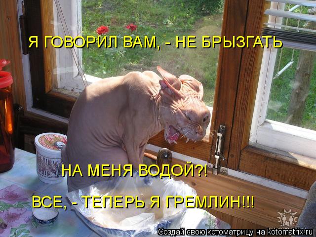 Я ГОВОРИЛ ВАМ, - НЕ БРЫЗГАТЬ НА МЕНЯ ВОДОЙ?! ВСЕ, - ТЕПЕРЬ Я ГРЕМЛИН!!!... Котоматрица: Я ГОВОРИЛ ВАМ, - НЕ БРЫЗГАТЬ НА МЕНЯ ВОДОЙ?! ВСЕ, - ТЕПЕРЬ Я ГРЕМЛИН!!!