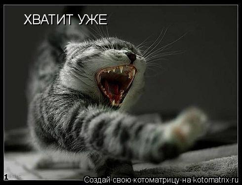 ХВАТИТ УЖЕ... Котоматрица: ХВАТИТ УЖЕ