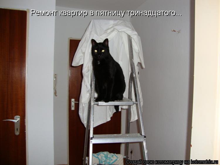 Ремонт квартир в пятницу тринадцатого...... Котоматрица: Ремонт квартир в пятницу тринадцатого...