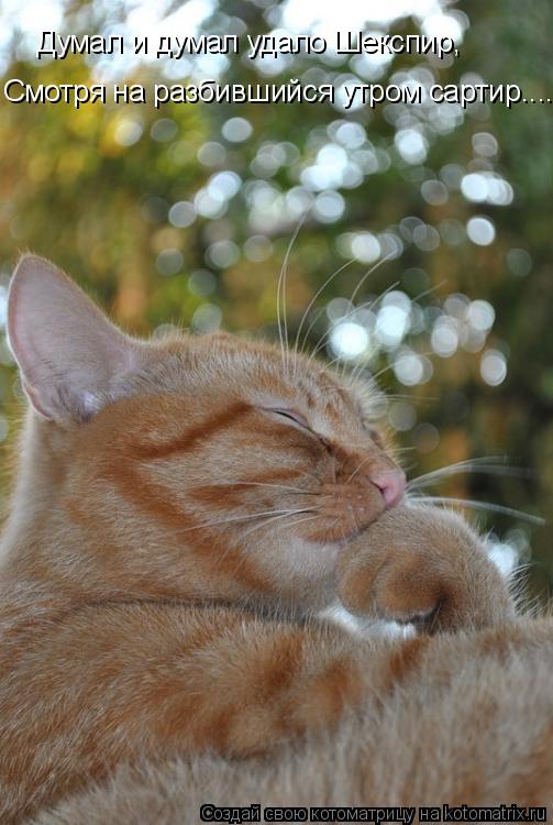 Думал и думал удало Шекспир, Смотря на разбившийся утром сартир....... Котоматрица: Думал и думал удало Шекспир, Смотря на разбившийся утром сартир....
