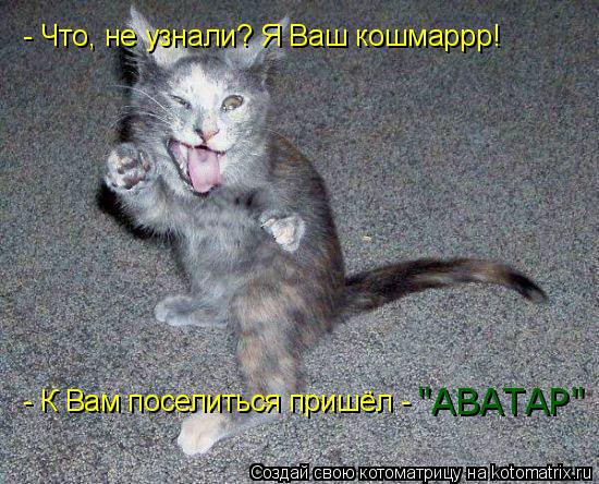 - Что, не узнали? Я Ваш кошмаррр! - К Вам поселиться пришёл - "АВАТАР"... Котоматрица: - Что, не узнали? Я Ваш кошмаррр! - К Вам поселиться пришёл - "АВАТАР"
