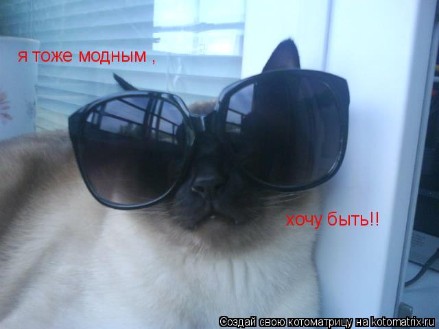 я тоже модным , хочу быть!!... Котоматрица: я тоже модным , хочу быть!!